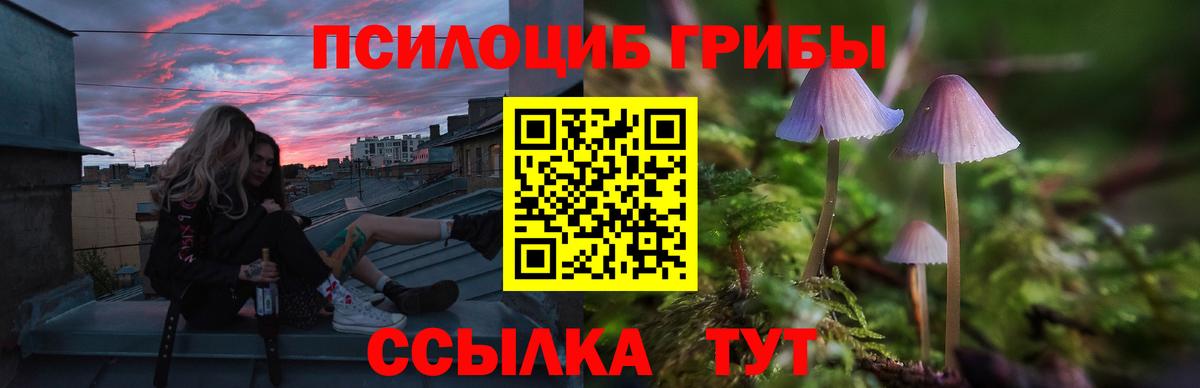Галлюциногенные грибы мицелий Верхняя Салда
